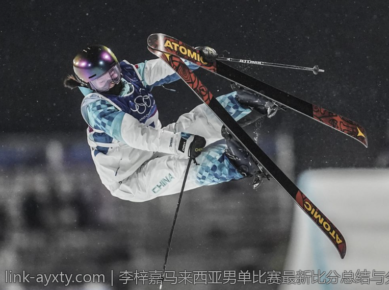 李梓嘉马来西亚男单比赛最新比分总结与分析