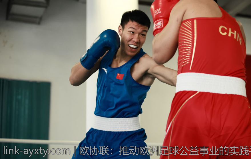 欧协联：推动欧洲足球公益事业的实践平台